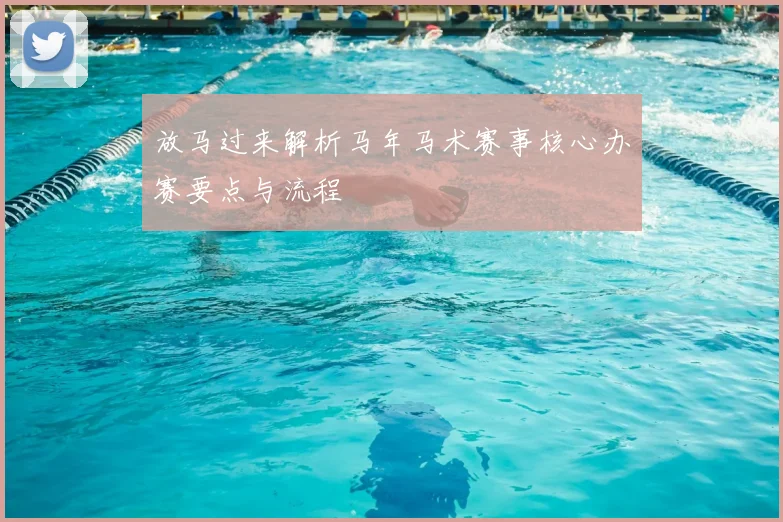 放马过来解析马年马术赛事核心办赛要点与流程