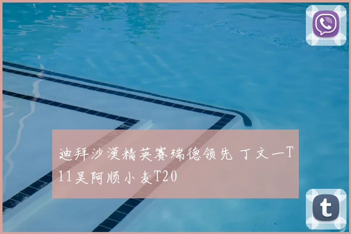 迪拜沙漠精英赛瑞德领先 丁文一T11吴阿顺小麦T20